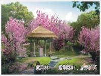 怡和国际实景图1