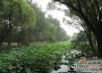 国润翠湖实景图10
