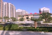 紫都唐府实景图1