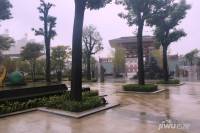 紫都唐府实景图1