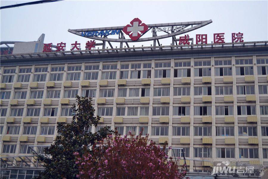 成国右岸配套图