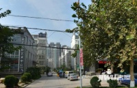 文林书苑实景图3